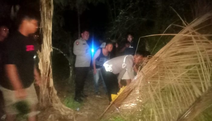 Terduga Bandar Narkoba SMN Tarigan Masih Bebas Berkeliaran, Polisi Terus Cari