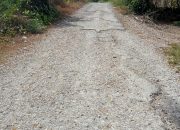 10 Tahun Belum Diperbaiki, Warga Minta Pemkab Dairi Perbaiki Jalan Desa Kuta Delleng sampai Desa Gunung Meriah