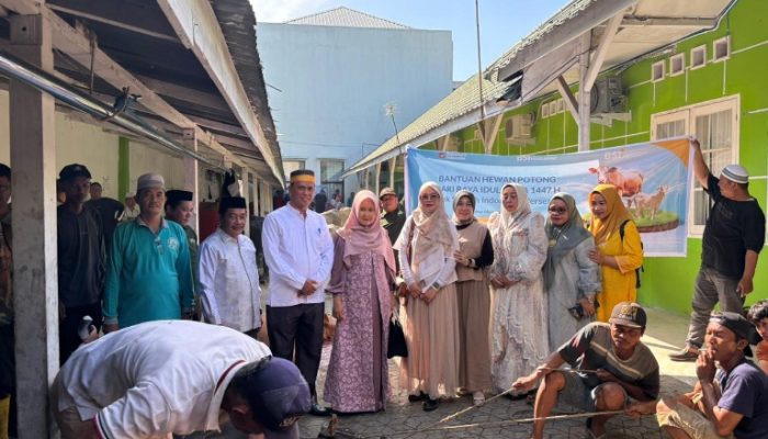 Idul Adha 1447 H, Kementerian Agama Medan, Sembelih 21 Ekor Sapi