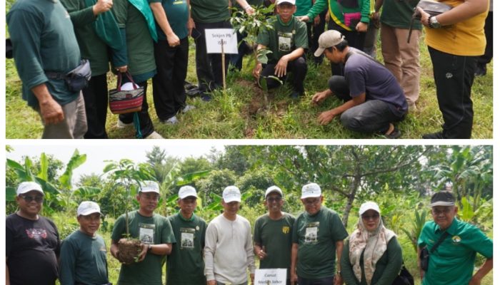 Tanam 1000 Pohon Khas Melayu, PB ISMI Apresiasi dan Dukung Penuh Giat PW ISMI Sumut