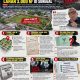 Janggal Disana-sini, Tangkap Mafia di Balik Lahan 3.000 M² Kelurahan Sunggal